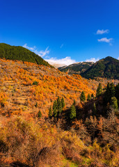 Autumn In Agrafa Mountains