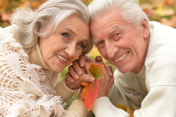couple in autumn park lying