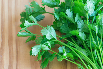 Green leaves coriander lay on wood table in top view flat lay with copy space. Food preparation concept for fresh vegetable.