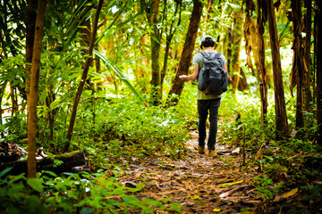 Man traveler traveling walking with backpack at the jungle on holiday at weekend on background nature view