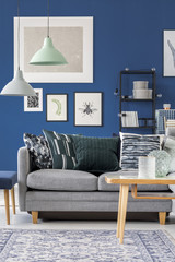 Gray couch in navy blue room