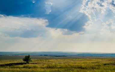 Fototapeta premium landscape field mountain expanse