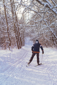 Young boy sportsman on skis in the woods with a winter afternoon with his back, the concept of winter sports and health