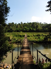 Fototapeta premium Pont Asie