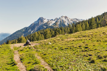 Obraz premium Alpine landscape with pasture water trough in Western Carinthia, Austria.