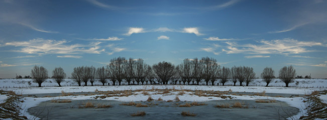 Panorama of river bank in winter with snow, ice and willows