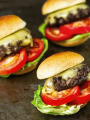 rustic american slider sandwich mini hamburger