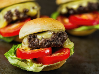 rustic american slider sandwich mini hamburger