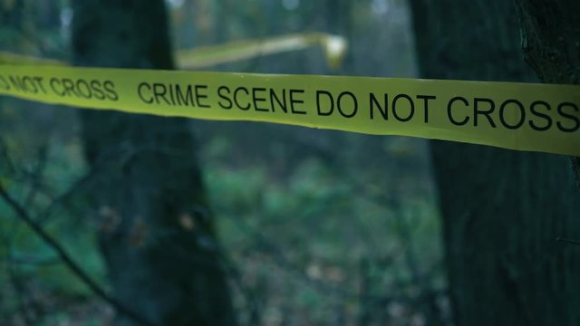Crime investigation, police tape in the woods, experts searching for evidence