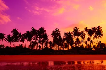 Foto op Plexiglas Palmbomen op het strand bij levendige tropische strandzonsondergang © nevodka.com