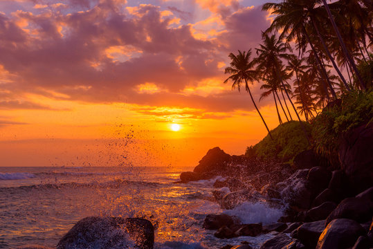 Tropical sunset beach with palm trees and rocks with shiny golden wave splash