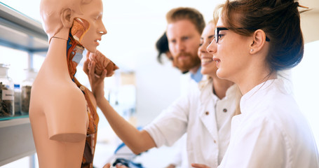 Students of medicine examining anatomical model in classroom
