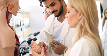 Students of medicine examining anatomical model in classroom