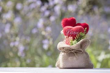 Head in love in valentine Natural