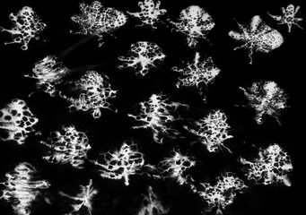 snowflakes ink painting black background