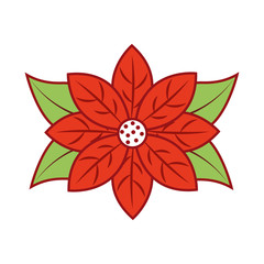 poinsettia flower for christmas decoration natural