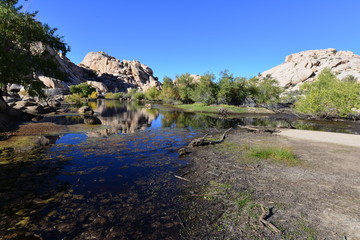 The Dam at the Joshua Tree National park