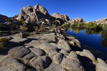 The Dam at the Joshua Tree National park