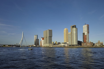 Fototapeta premium Rotterdam skyline with Erasmus Bridge. Rotterdam, South Holland, Netherlands.