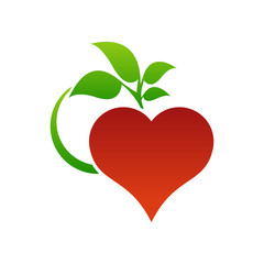 Color heart and leaf logo template.Love heart icon.