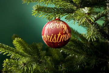 Christmas ball and green spruce branch on a green background