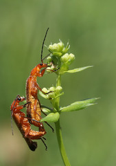 A deux! c'est mieux!