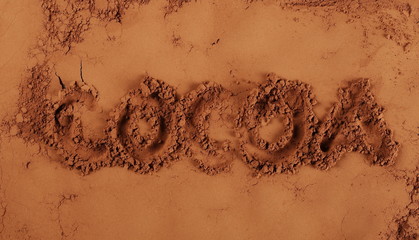 cocoa powder background and texture