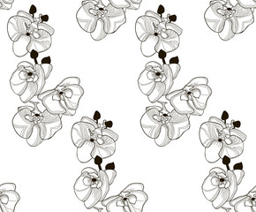 Vector Black Seamless Pattern with Drawn Orchid Flowers
