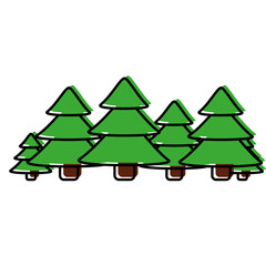 pine trees icon image