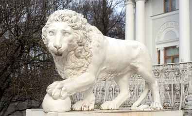 Fototapeta na wymiar Sculpture of the lion.
