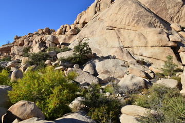A Rocky Landscape at the Joshua tree national park.