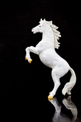 Obraz na płótnie Canvas miniature horse: White horse lifts two legs on a black background. Using as battle to win, business concept