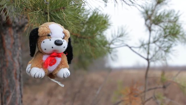 A small plush dog on the background of New Year pine branches. Year of the dog