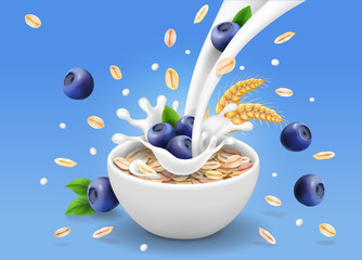 Oatmeal advertising and blueberry, milk splashing and berries, Oat flakes illustration