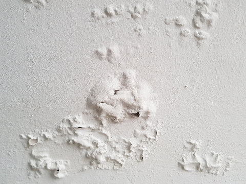Stockflecken durch Feuchtigkeit an wei&szlig;er Hauswand