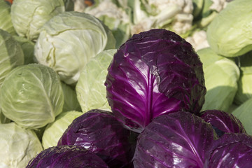 Obraz premium Cabbages for sale at market, Haifa, Haifa District, Israel