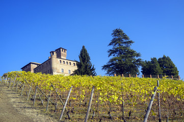 Fototapeta na wymiar Grinzane Cavour (Piedmont, Italy): the Barolo vineyards. Color image