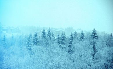 Winter landscape. snowfall