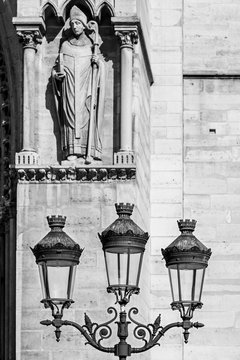 Fototapeta Vintage street lantern (lamppost) in front of Notre-Dame de Paris. Paris. France