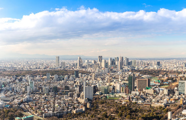 Fototapeta premium Tokyo Shinjuku skylines