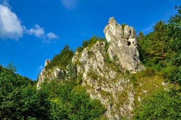 Sunny summer landscape. Beautiful green Jurassic valley in Poland.