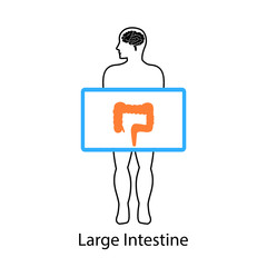 Large intestine on screen. Vector illustration.