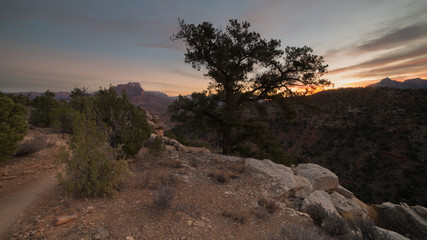 Sunrise with juniper tree on Wire Mesa in Southern Utah 