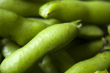 Green pods of bean