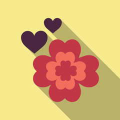 Irish shamrock lucky plant .Clover in the form of a vector illustration