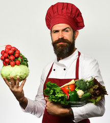 Chef holds bowl with fresh vegetables. Cooking and vegetarian diet