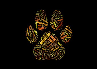 vegan word cloud with vegetarian related words in a lot of different languages