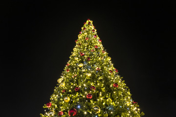 Beautiful christmas tree with lights glowing
