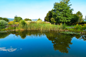 Fototapeta na wymiar Botanical Garden with a Lake in the Vegetation.