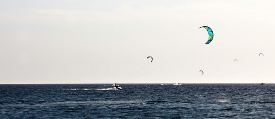 kitesurfer